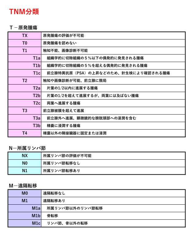 >TNM分類