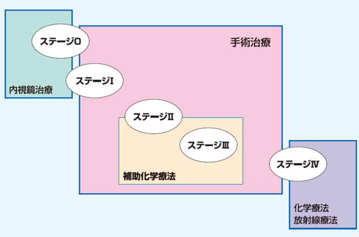 紹介写真